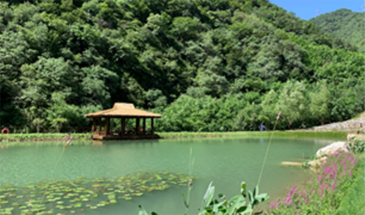 九公山恩泽园：以爱为名的永恒归处