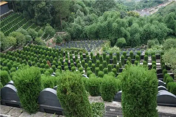 墓地风水,公墓墓位,<a href=http://www.xinshouning.cn/price/ target=_blank class=infotextkey><a href=http://www.xinshouning.cn/wap/price/ target=_blank class=infotextkey>墓型</a></a>选择,公墓风水,<a href=http://www.xinshouning.cn/ target=_blank class=infotextkey><a href=http://www.xinshouning.cn/wap/ target=_blank class=infotextkey>北京公墓</a></a>墓位朝向