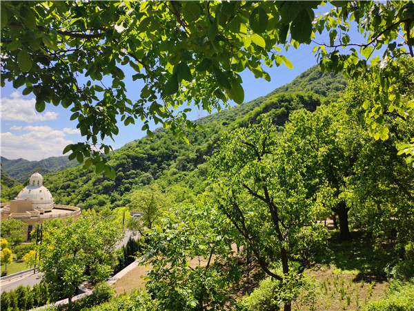 九公山陵园,选购墓地