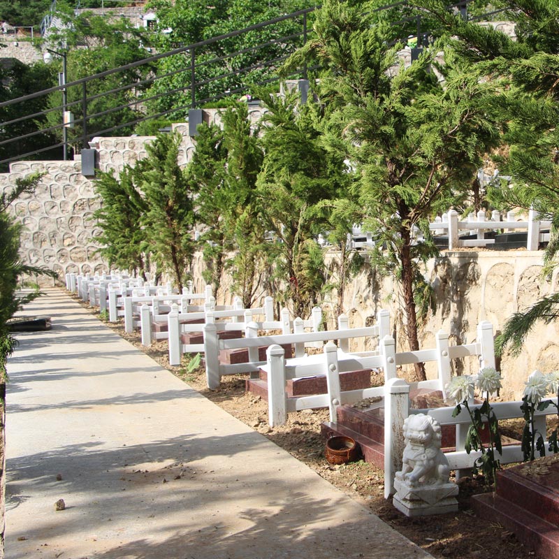 九公山<a href=http://www.xinshouning.cn/cul/ target=_blank class=infotextkey><a href=http://www.xinshouning.cn/wap/cul/ target=_blank class=infotextkey>树葬</a></a>,<a href=http://www.xinshouning.cn/ target=_blank class=infotextkey><a href=http://www.xinshouning.cn/wap/ target=_blank class=infotextkey>九公山公墓</a></a>,<a href=http://www.xinshouning.cn/news/ target=_blank class=infotextkey><a href=http://www.xinshouning.cn/wap/news/ target=_blank class=infotextkey>生态葬</a></a>,北京怀柔九公山陵园,<a href=http://www.xinshouning.cn/ target=_blank class=infotextkey><a href=http://www.xinshouning.cn/wap/ target=_blank class=infotextkey>北京公墓</a></a>