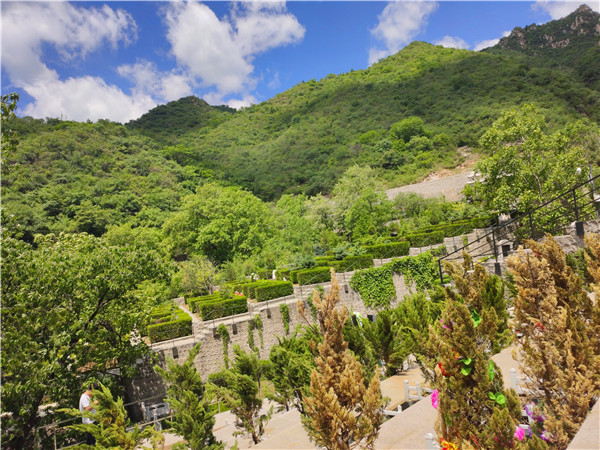 九公山<a href=http://www.xinshouning.cn/cul/ target=_blank class=infotextkey><a href=http://www.xinshouning.cn/wap/cul/ target=_blank class=infotextkey>树葬</a></a>,<a href=http://www.xinshouning.cn/news/ target=_blank class=infotextkey><a href=http://www.xinshouning.cn/wap/news/ target=_blank class=infotextkey>生态葬</a></a>