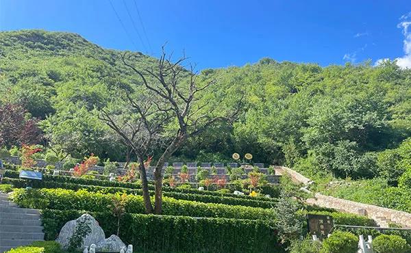 九公山公墓：树葬文化