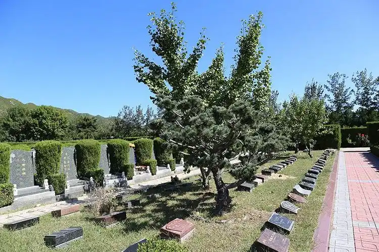 <a href=http://www.xinshouning.cn/ target=_blank class=infotextkey><a href=http://m.xinshouning.cn/ target=_blank class=infotextkey>北京公墓</a></a>,九公山陵园