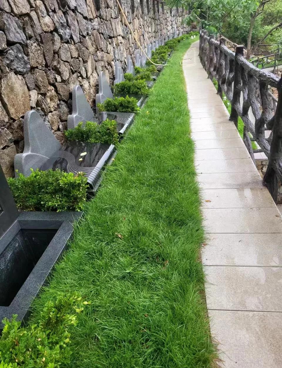 <a href=http://www.xinshouning.cn/ target=_blank class=infotextkey><a href=http://m.xinshouning.cn/ target=_blank class=infotextkey>北京陵园</a></a>,<a href=http://www.xinshouning.cn/ target=_blank class=infotextkey><a href=http://m.xinshouning.cn/ target=_blank class=infotextkey>九公山公墓</a></a>官网