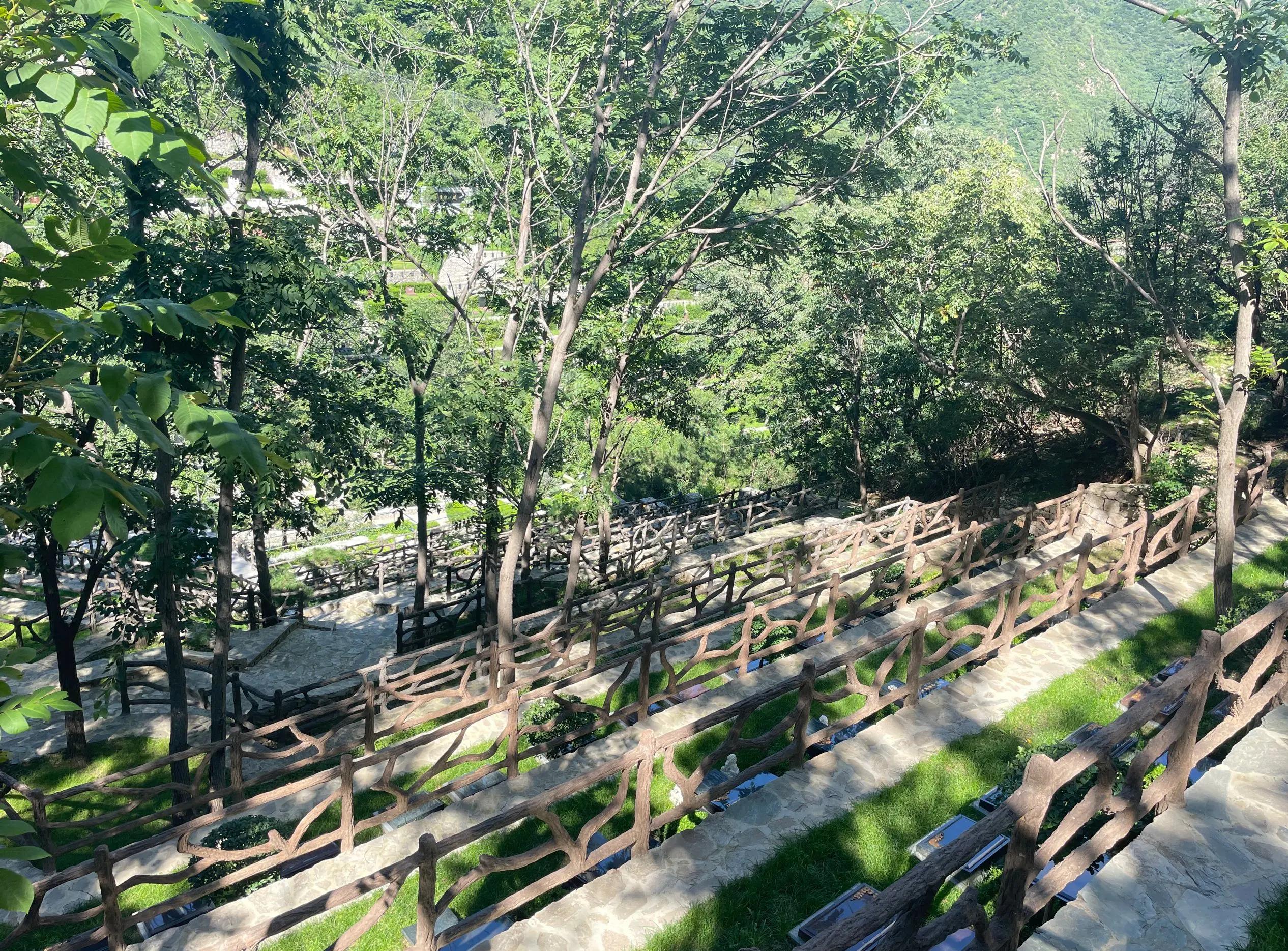 北京树葬价格及相关信息概览