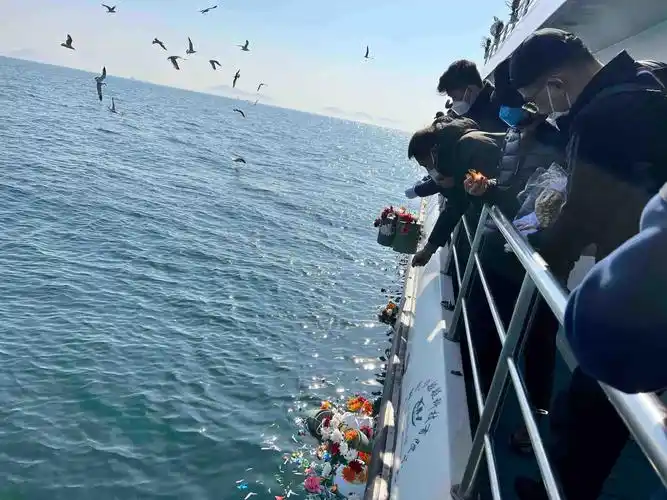 北京海葬所需材料与流程指南