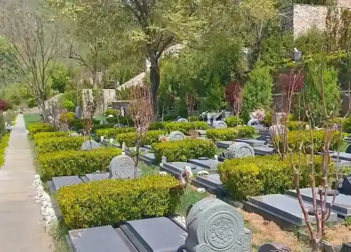 归尘：当代绿色殡葬的生态革命与生命诗学