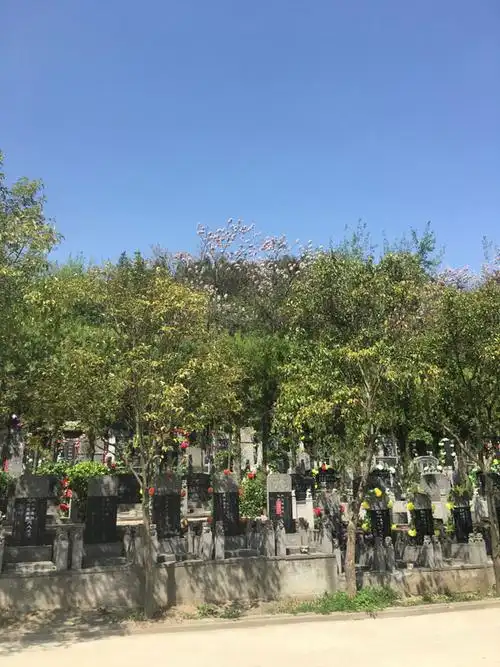 九公山陵园,陵园服务,九公山殡葬,殡葬服务,<a href=http://www.xinshouning.cn/ target=_blank class=infotextkey><a href=http://m.xinshouning.cn/ target=_blank class=infotextkey>北京陵园</a></a>