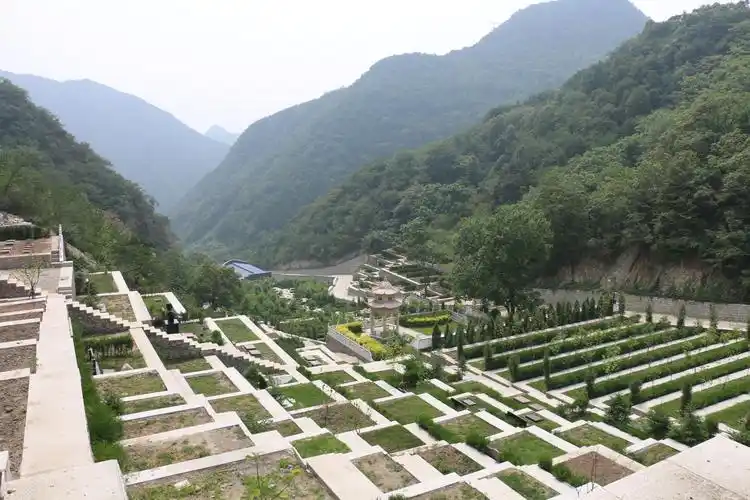九公山长城纪念林树葬：自然与人文交织的生命归处