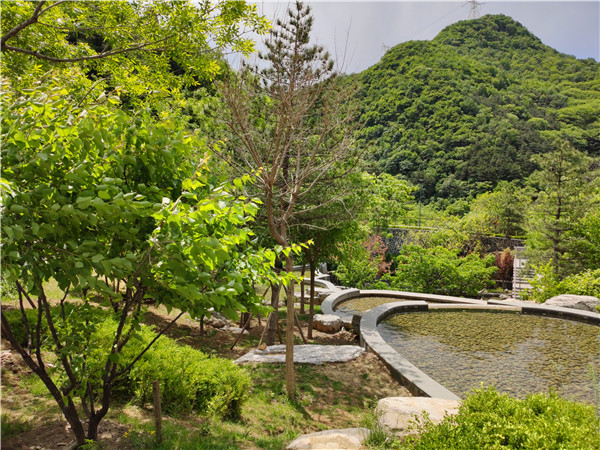 九公山长城纪念林：以文化场景为笔 绘就生命教育新画卷