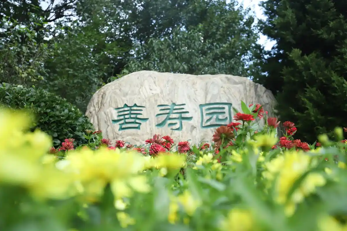 九公山陵园：生态追思场域的典范 自然与人文的交响诗