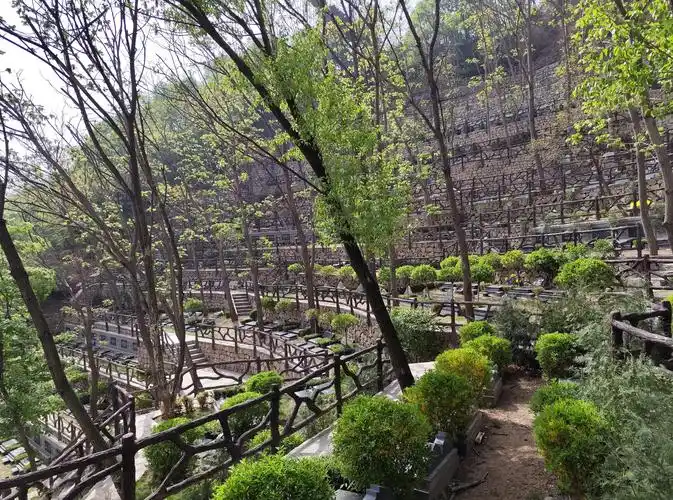 九公山长城纪念林：山水藏风聚气，四象灵韵安魂