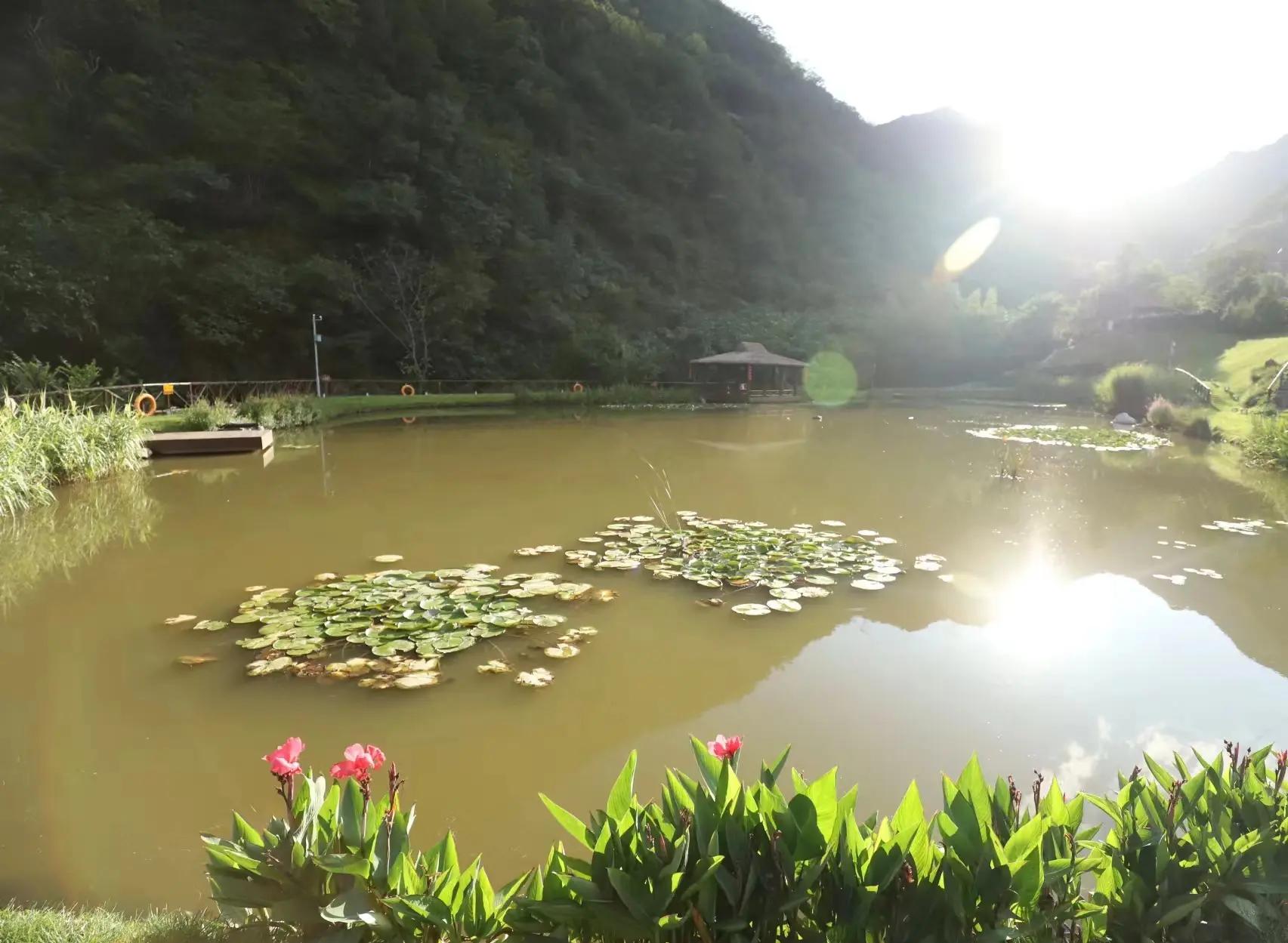 公墓选址,公墓风水,公墓咨询,墓位朝向,墓位价格